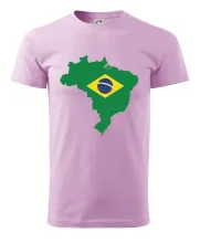 Brazílie vlajka v mapě