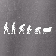 Evoluce ovce