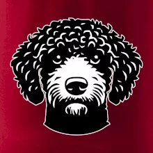 Lagotto romagnolo hlava na prsu