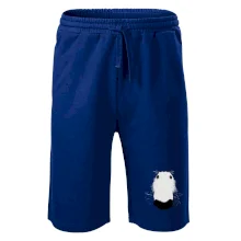 Barzoj čumák (Moňas)