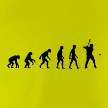 Evoluce baseball pálkař nápřah + míček