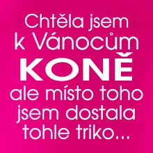 Chtěla jsem k Vánocům koně