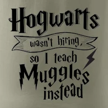 Harry - Hogwarts wasn’t hiring, so I teach Muggles instead