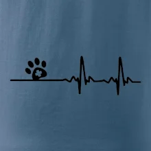 Veterinář EKG