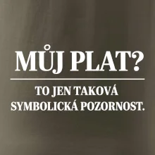 Můj plat? to jen taková symbolická pozornost