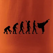 Karate Evoluce - kop
