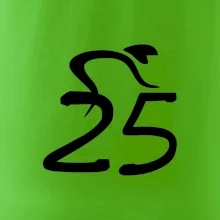 Cyklista slaví pětadvacítku (25)