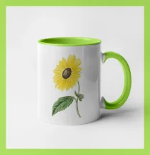 Slunečnice otočená