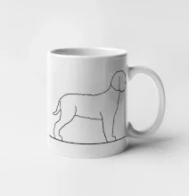 Lagotto romagnolo stojící