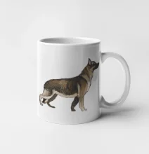 Německý ovčák - hnědý kreslený