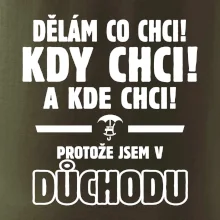 Dělám co chci, kdy chci důchod
