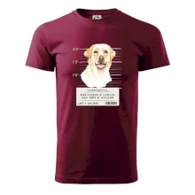 Lump a darebák labrador