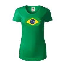 Brazílie vlajka štětkou