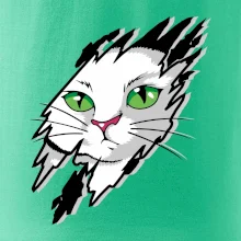 Kočka v roztrženém triku