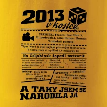2013 v kostce