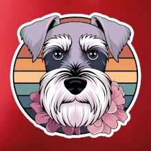 Knírač - fenka a květiny