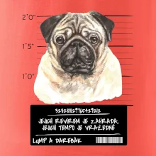 Lump a darebák mopsík