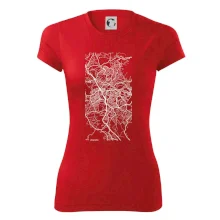 Černobílá mapa Liberec