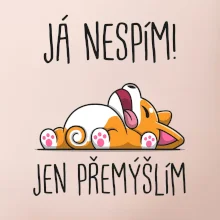 Já nespím, jen přemýšlím