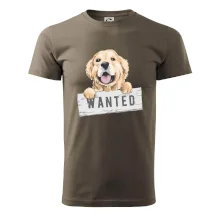 Zlatý retriever - štěně wanted
