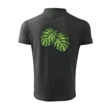 Monstera - dva listy