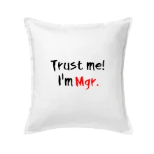 Trust me I´m  Mgr. / Věř mi jsem Magistr. Trust me I´m  Mgr. / Věř mi jsem Magistr.