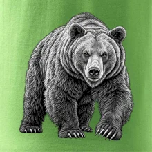 zvířata Beskyd - medvěd hnědý