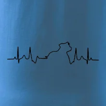 Stafordšírsky bulteriér EKG