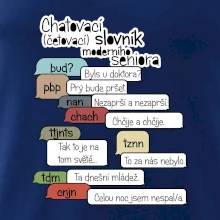 Chatovací slovník moderního seniora (Běžící češtinář)