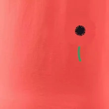 Vlčí mák ikonka na prsu