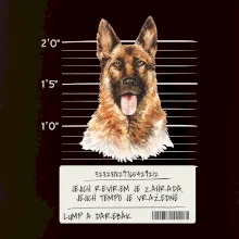 Lump a darebák - Německý ovčák