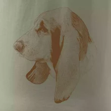 Basset - kreslená hlava