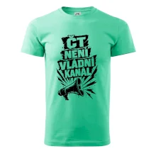 ČT není vládní kánál