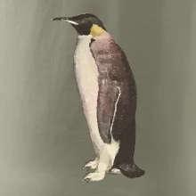 Tučňák kreslený vodovými barvami