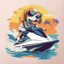 Bígl na vodním skútru