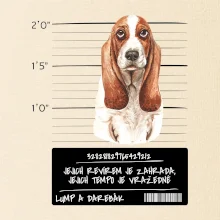 Baset - lump a darebák