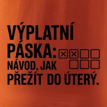 VÝPLATNÍ PÁSKA: Návod, jak přežít do úterý