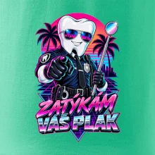 Zatýkám váš plak