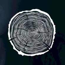 Letokruhy 65 bez věku