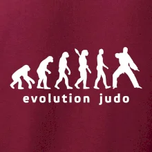 Judo evoluce - úder