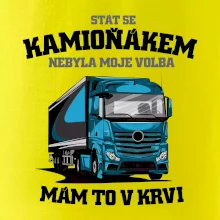 Stát se kamioňákem nebyla moje volba