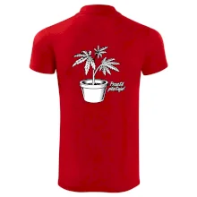 Konopi prostě pěstuju