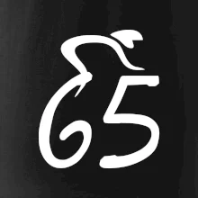 Cyklista slaví pětašedesátku (65)