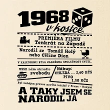 1968 v kostce