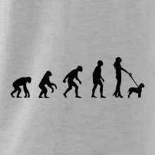 Lagotto romagnolo Evoluce