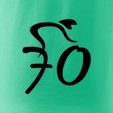 Cyklista slaví sedmdesátku (70)