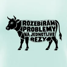 Rozebírám problémy na jednotlivé řezy
