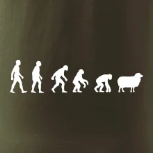 Evoluce ovce