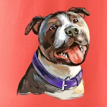 Americký stafordširský teriér  kreslený