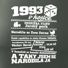 1993 v kostce